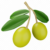 Olea Fruit